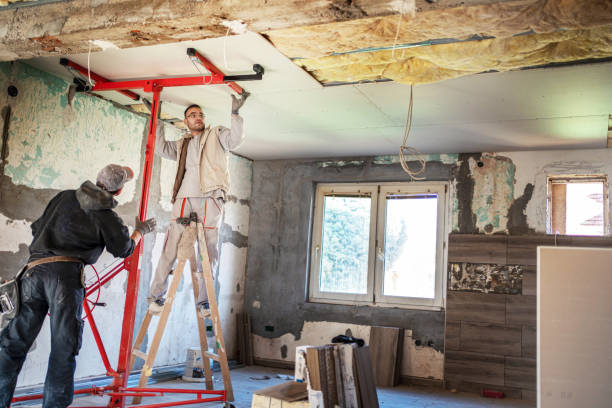 Best Attic Insulation Installation  in Cut Bank, MT